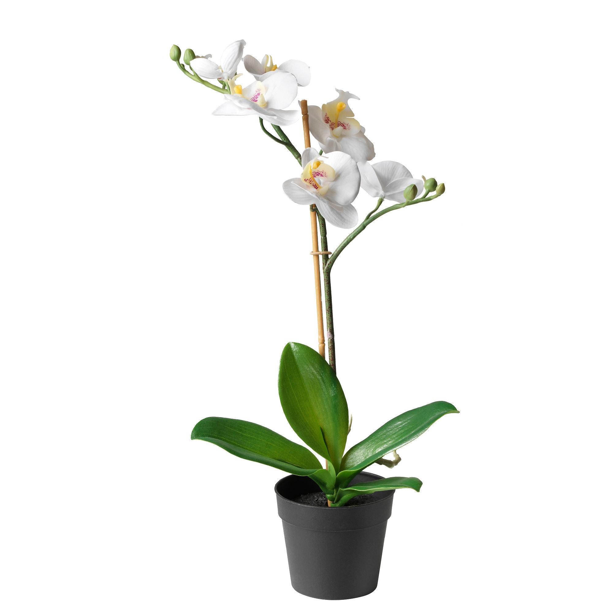 ИКЕА FEJKA Штучна рослина в горщику - Орхідея біла 9 см, 002.859.08