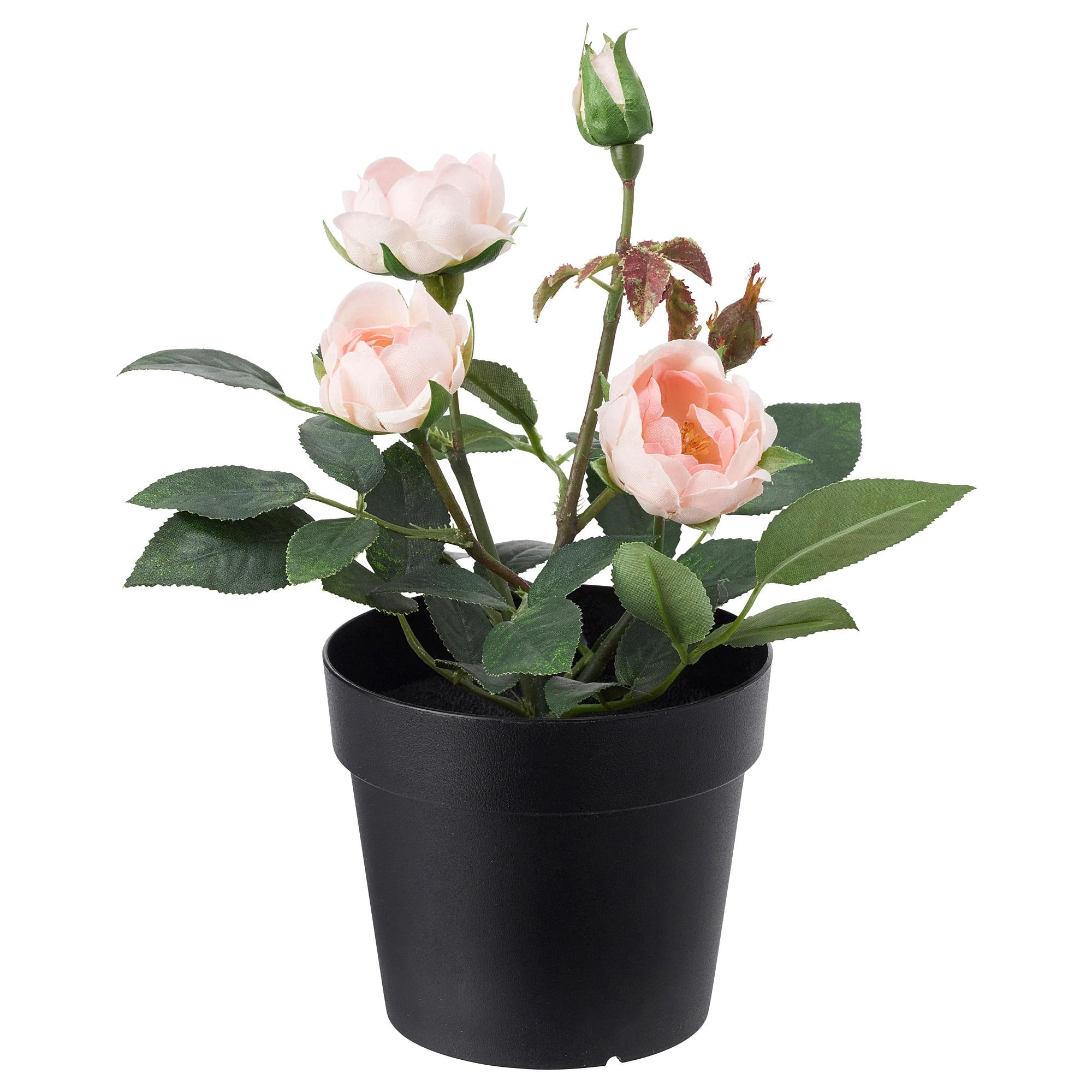 ИКЕА FEJKA Штучна рослина в горщику - кімнатна / вулична / Роза рожева 9 см, 003.953.13