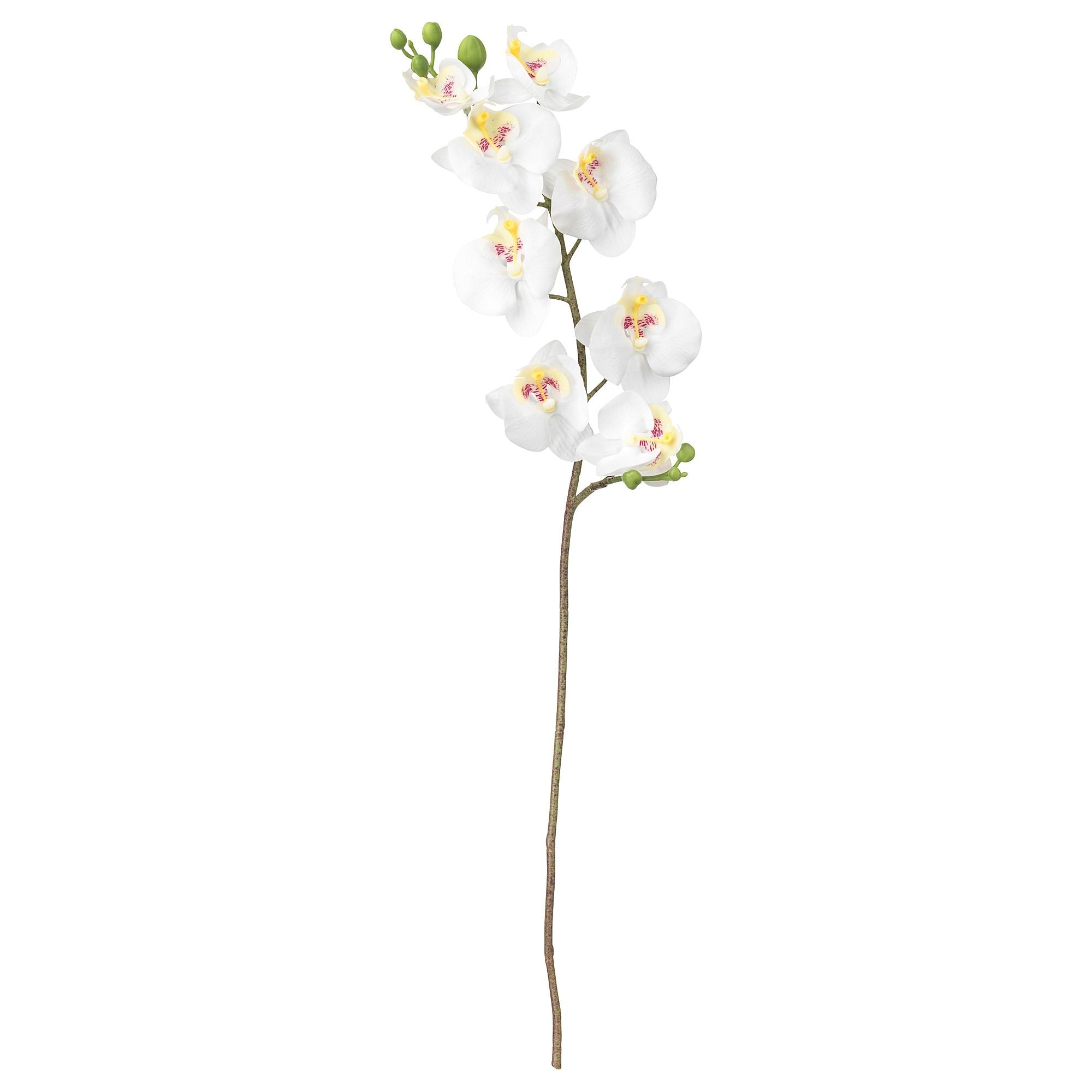 ИКЕА БУНТ Штучна квітка - Орхідея / біла 60 см, 803.335.85