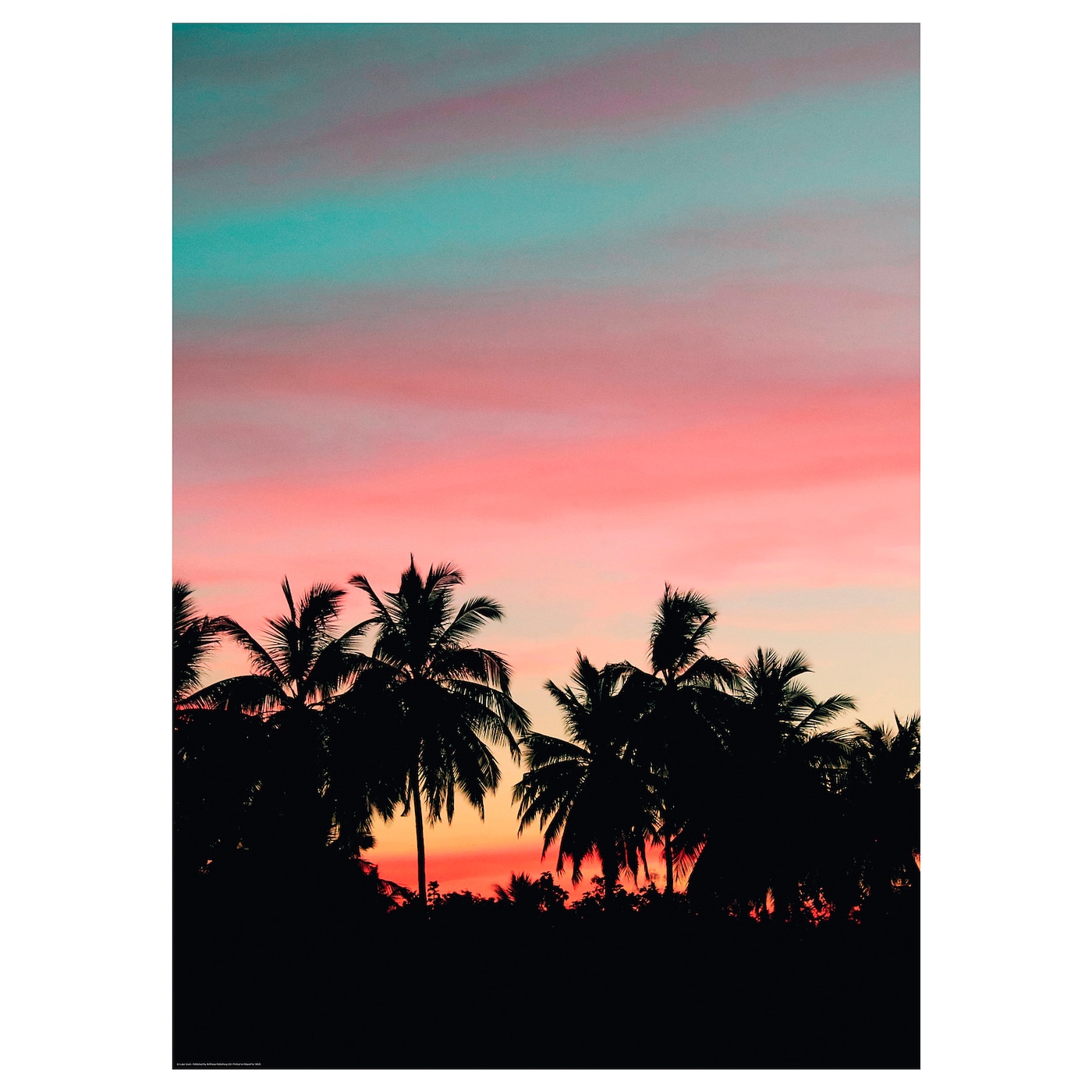 ИКЕА BILD Постер - Захід сонця з пальмами 50х70 см, 104.422.10